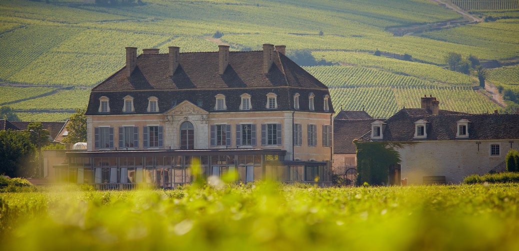 Chateau De Pommard Wine Experiences Discover Burgundy