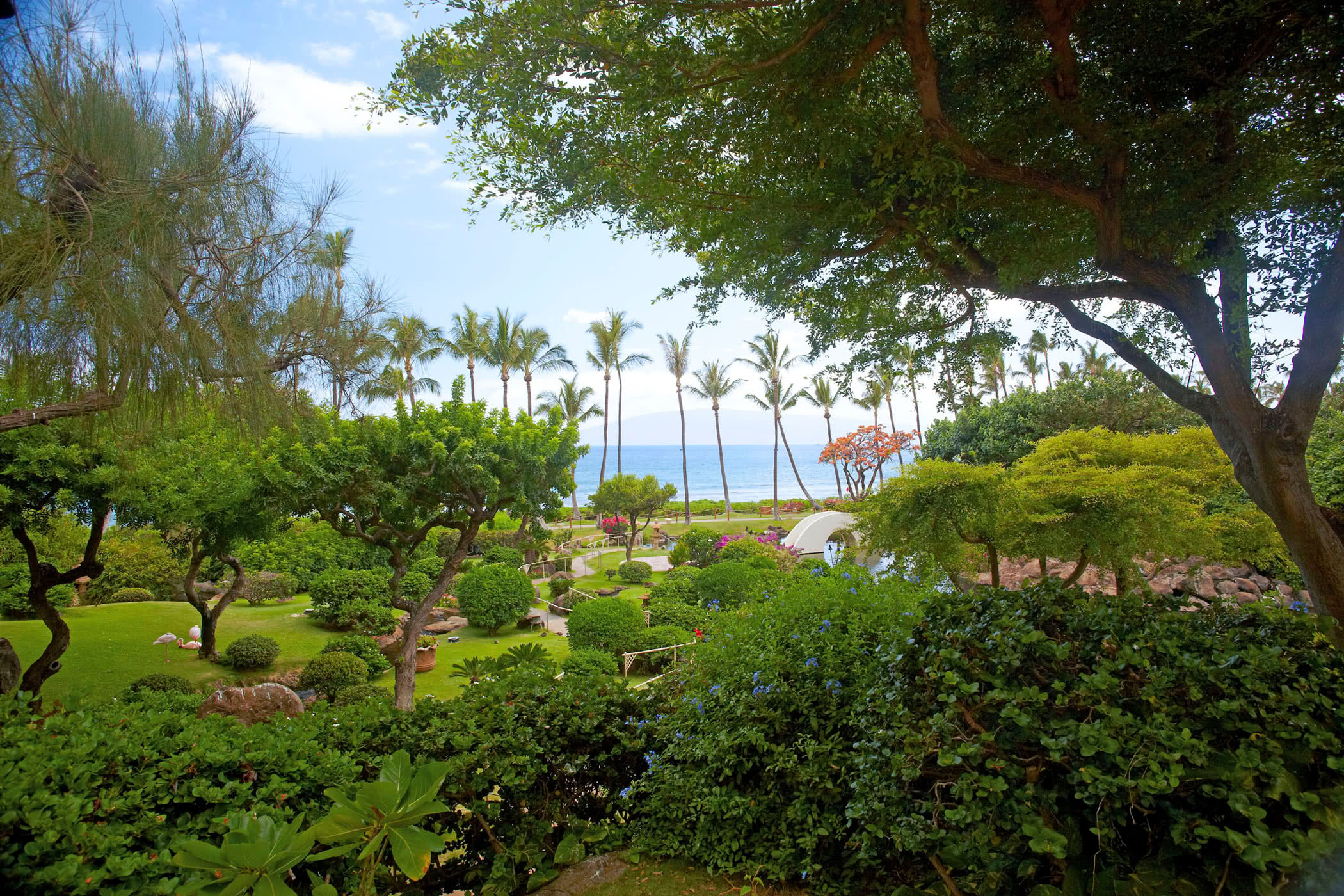 Review Hyatt Regency Maui 12