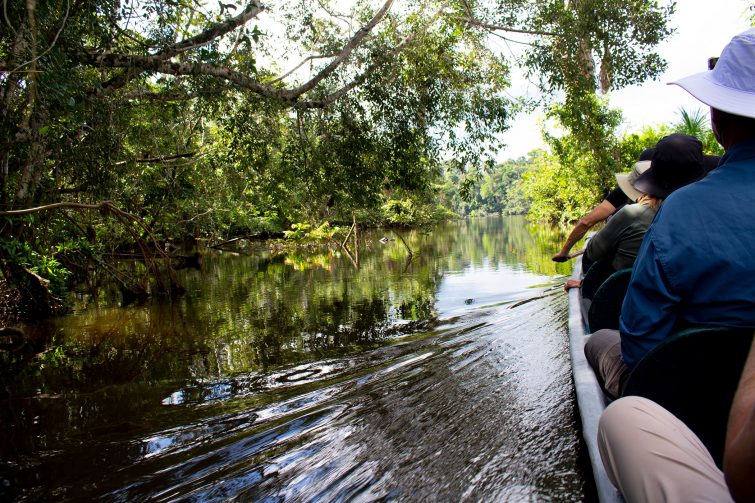 La Selva Eco Lodge Canoe Trip