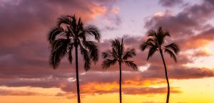 Best Marriott Waikiki Sheraton Waikiki Or Moana Surfrider