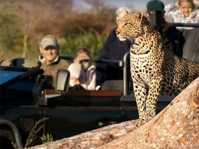 2 Night Amazing African Safari & Private Luxury Villa Experience