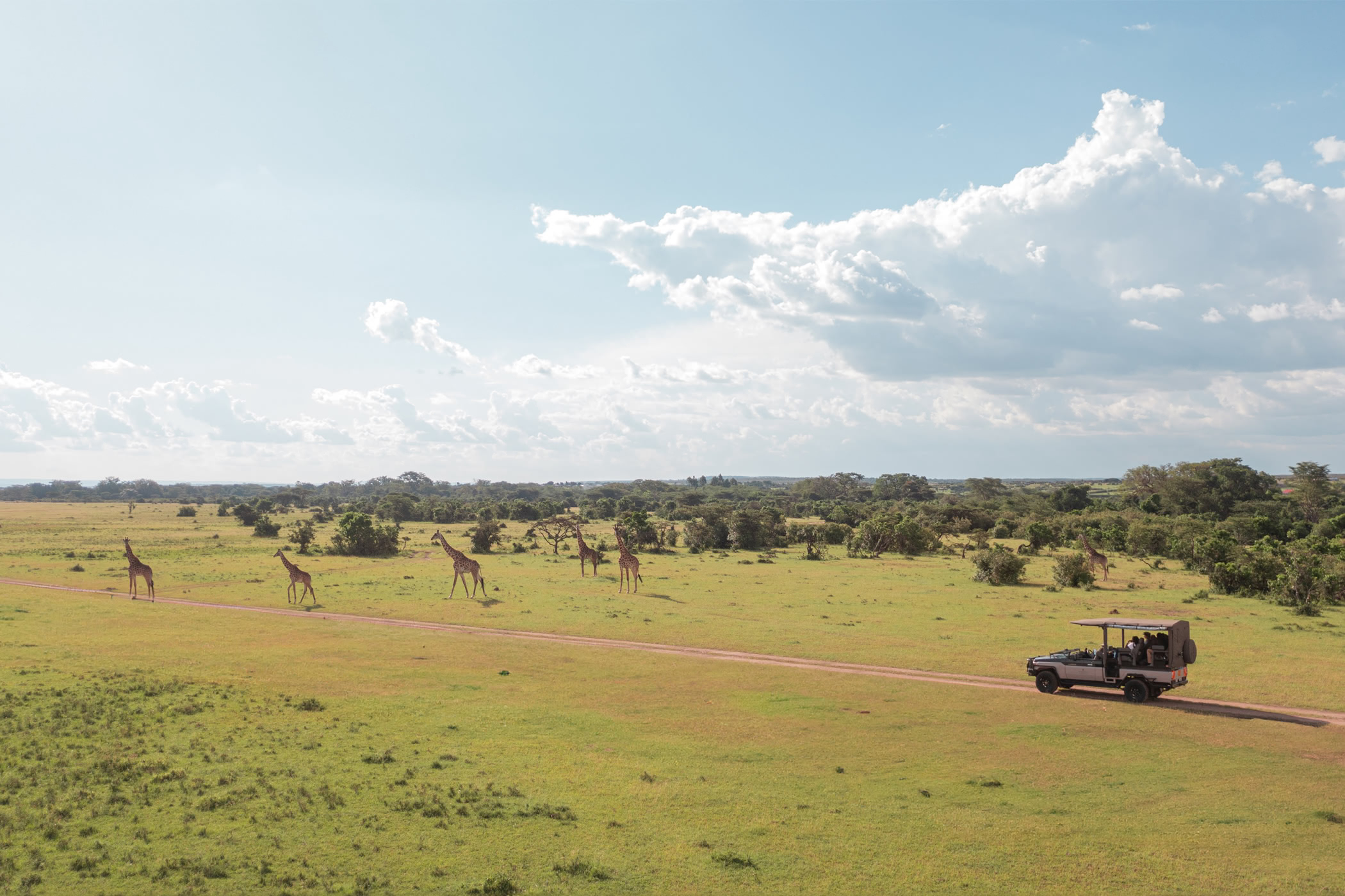 JW Marriott Masai Mara Lodge Safari Drive