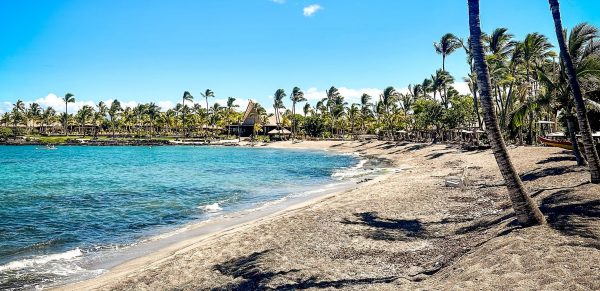 Rosewood Kona Village Palm Trees Blowing On The Beach