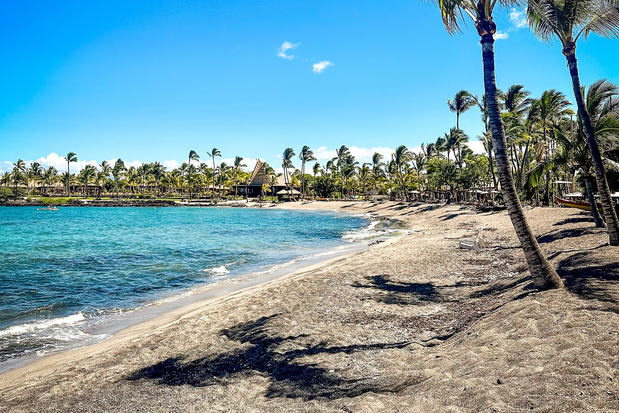 Rosewood Kona Village Palm Trees Blowing On The Beach