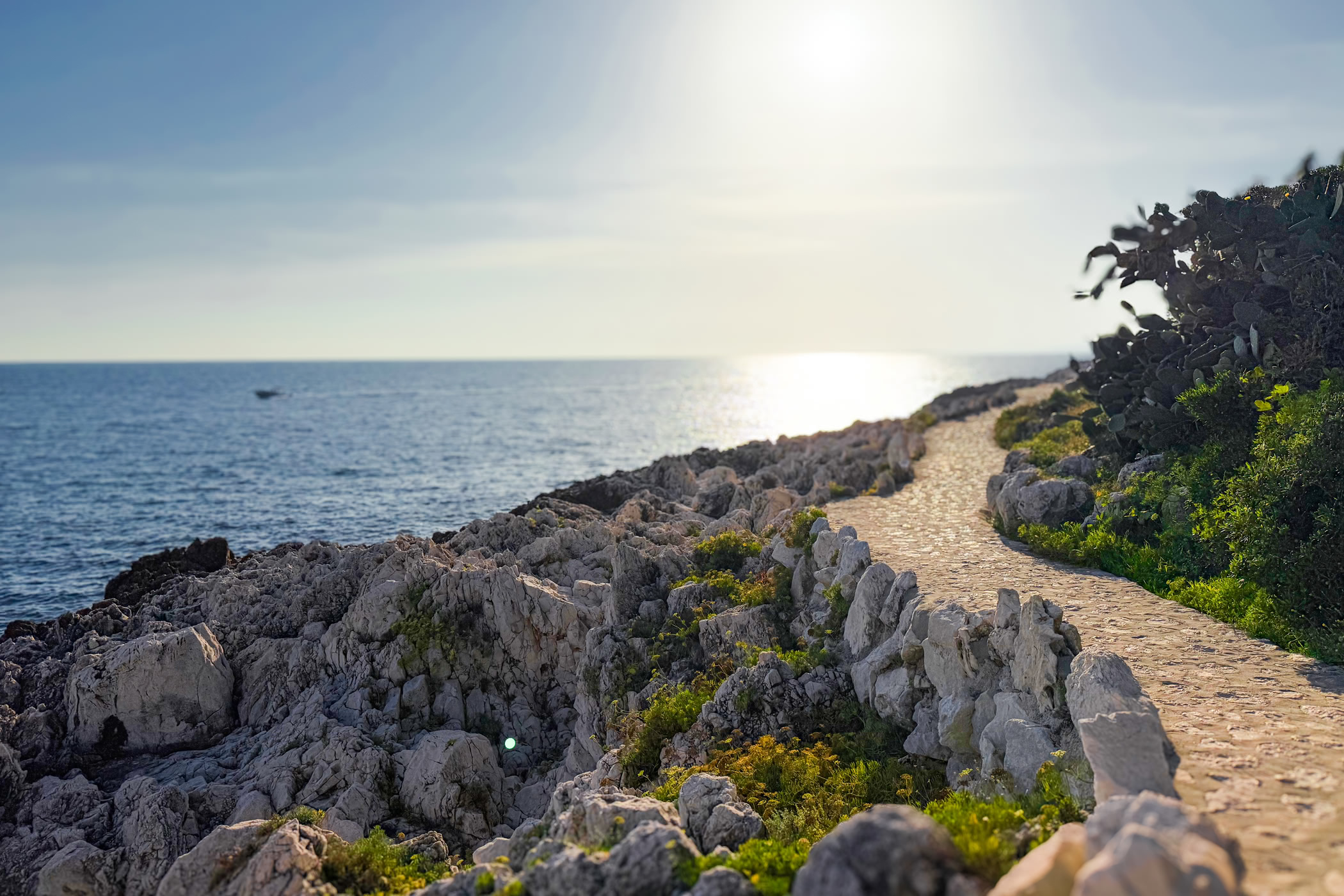 Grand Hotel Du Cap Ferrat Four Seasons Seafront Path