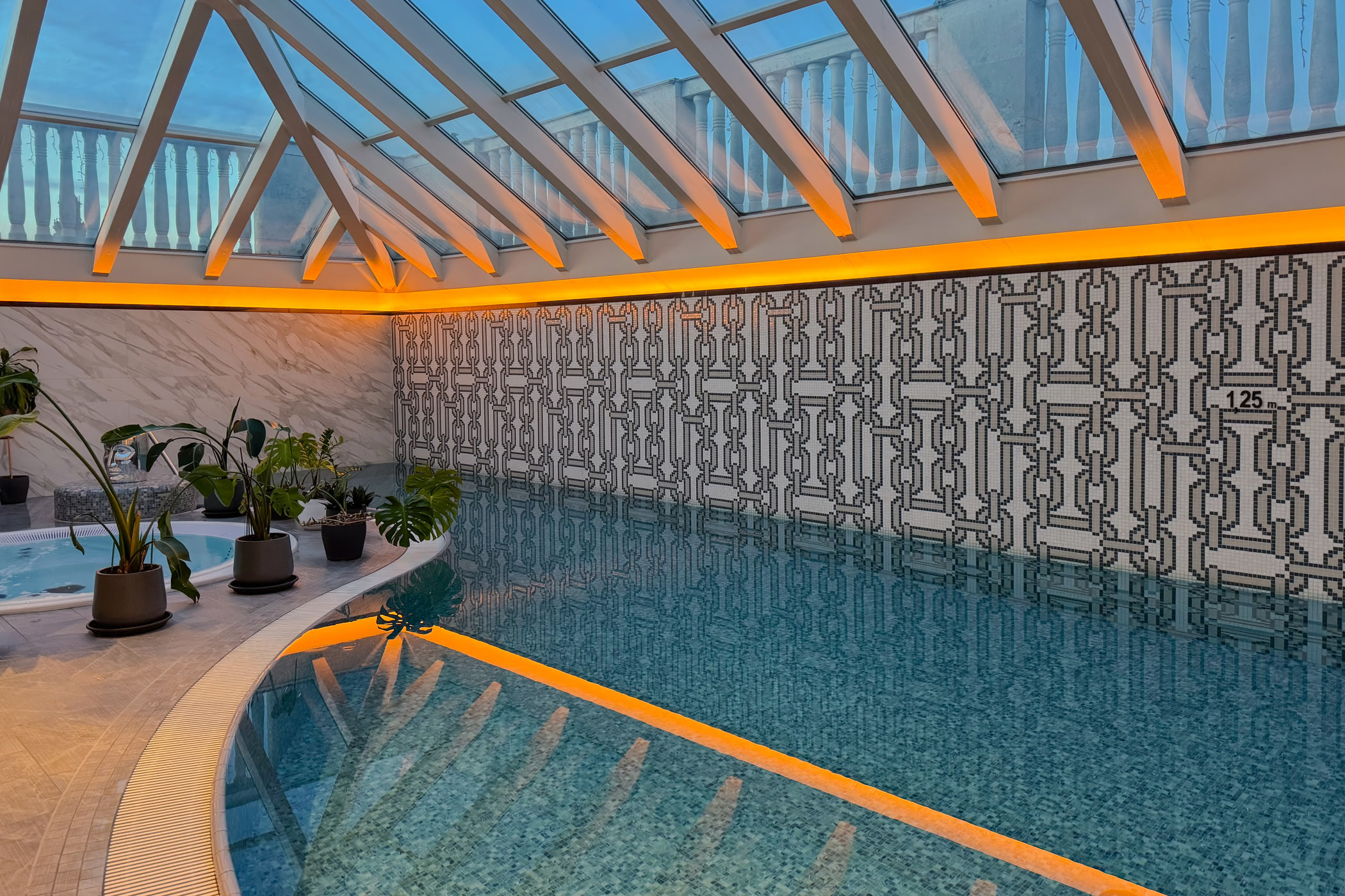 Ritz Carlton Budapest Pool & Spa