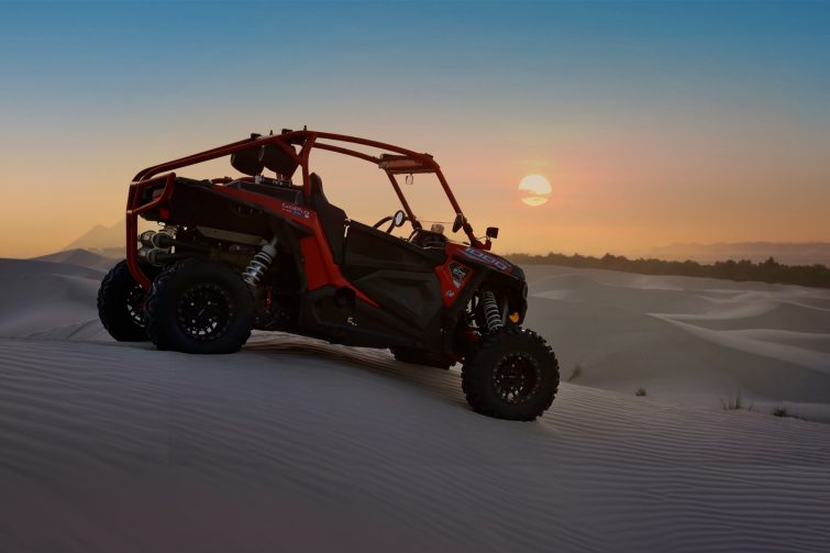 Desert Crawler On The Dunes