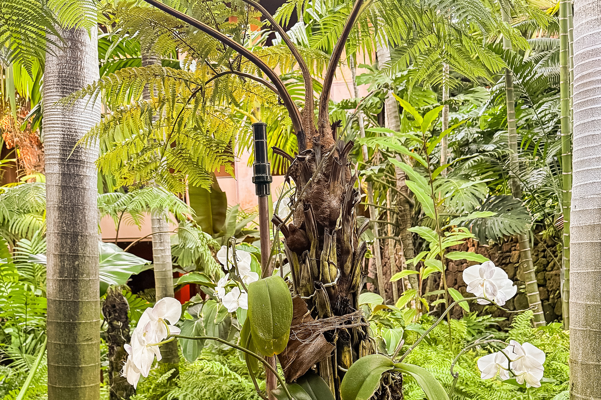 Four Seasons Lanai Garden