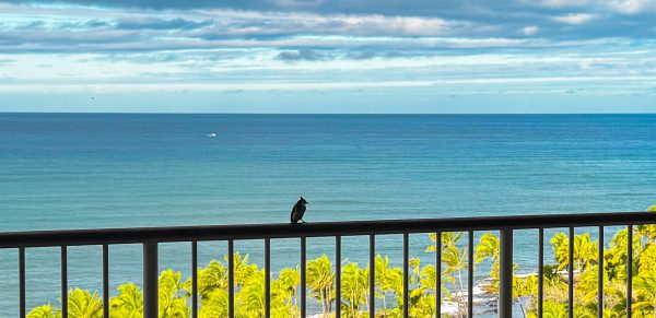 Four Seasons Oahu Beachfront Guest Room Balcony