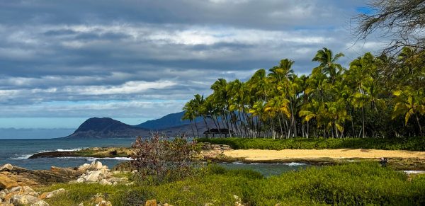 Four Seasons Oahu Coastline