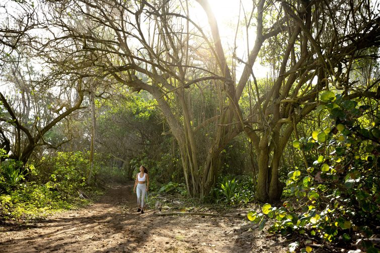 The Ritz-Carlton Oahu, Turtle Bay Walking Trails